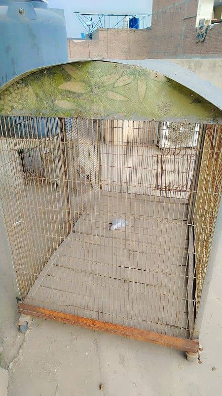 cage for parrots,hens,birds animals 1