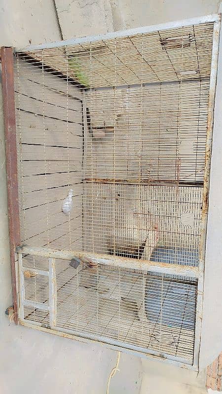 cage for parrots,hens,birds animals 6