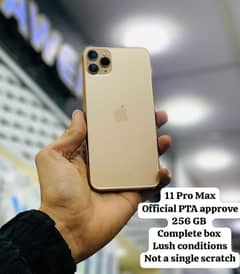 11 Pro Max 256 GB