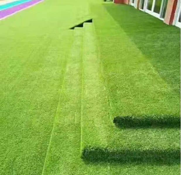 Artificial Grass 1