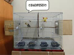 Lovebird Pair + Chicks + Cage + Boxes All