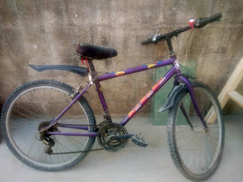 26" Adult Bicycle 2