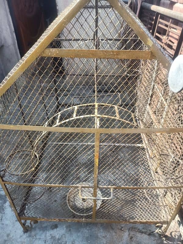 big cage for sale 4