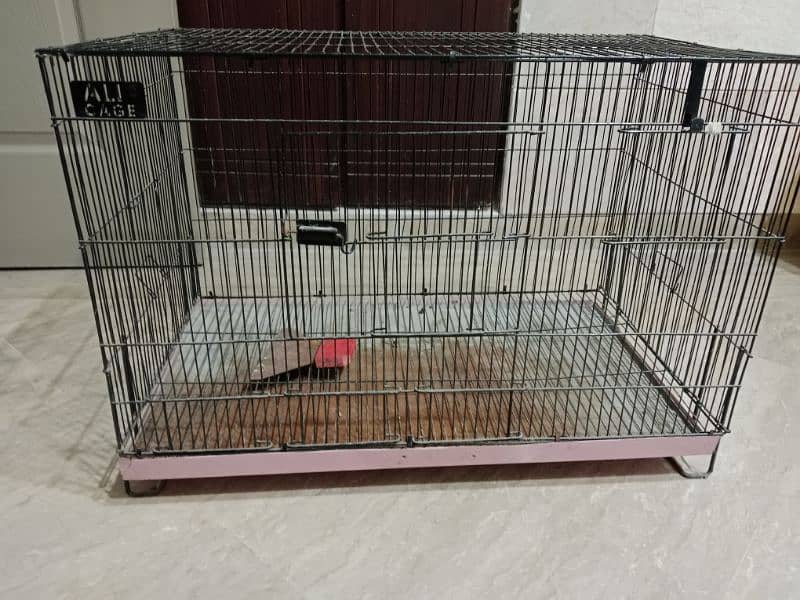 black cage for hens and parrots and tray cleaner 0