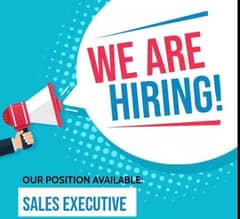 sales executive