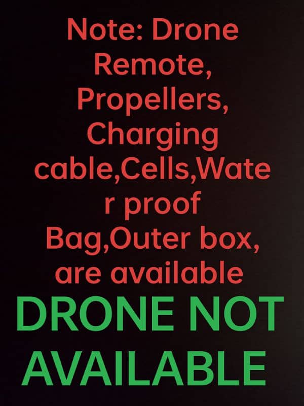 Rg 100 pro drone remote 8