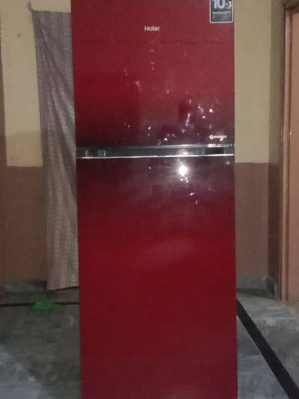 Haire jambo size refrigerator 5