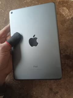 ipad mini 5