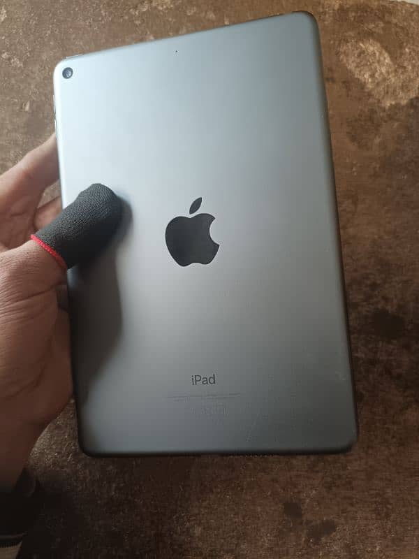 ipad mini 5 0