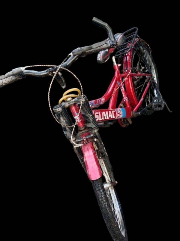 Sumac bicycle 0