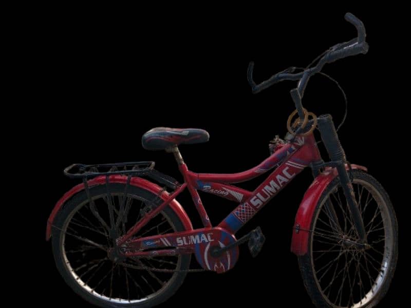 Sumac bicycle 2