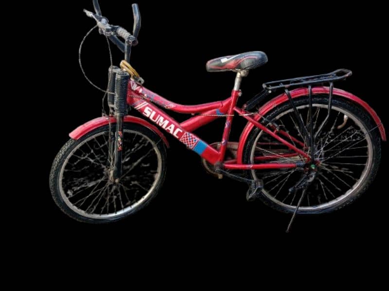 Sumac bicycle 3