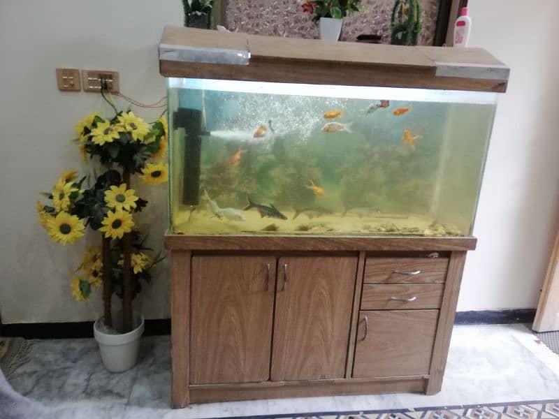 Aquarium With 16 Fish 2