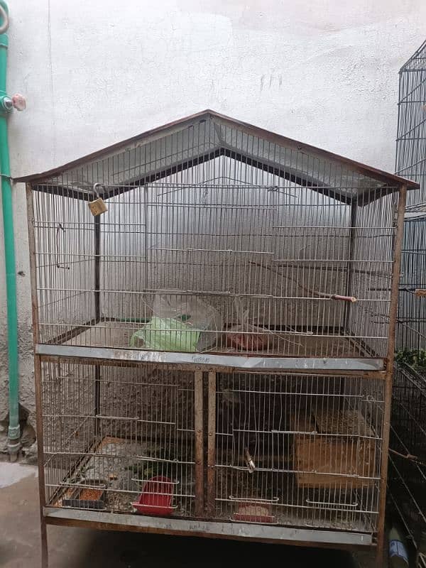 java brids and cage forsale 3