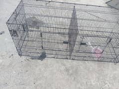 48/48/18 size 1 portion 2 partition cage for sale just 2 month used