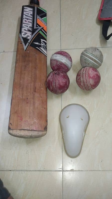 hard ball kit with bat and everything 1