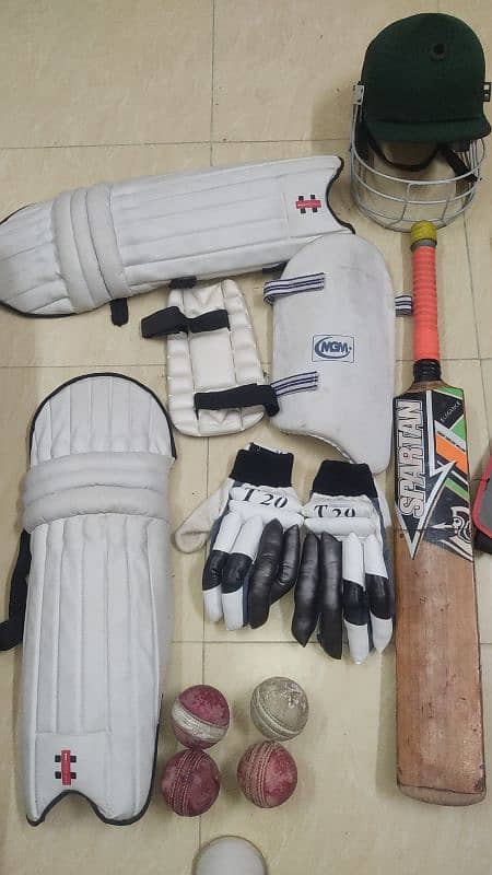 hard ball kit with bat and everything 10