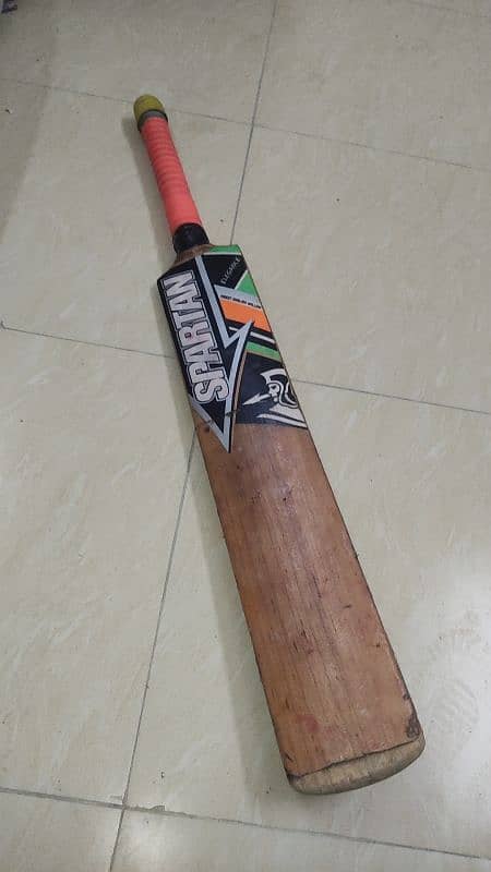 hard ball kit with bat and everything 11