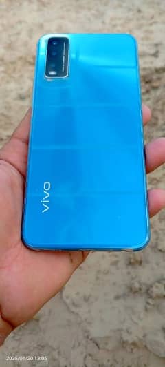 vivo