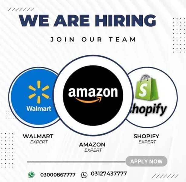 Amazon eBay Walmart Shopify jobs Available 1