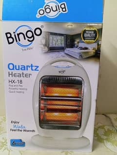 Electric heater