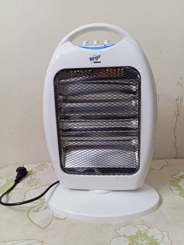 Electric heater 1