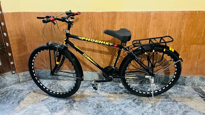 Phoenix bicycle with gears 2