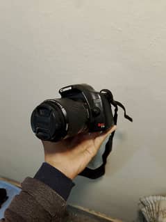 Canon 500d / rebel T1i with 80-200 mm Lens