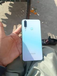 vivo