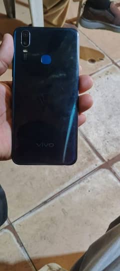 vivo