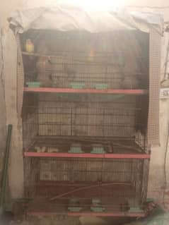 Birds 3 portion Cage 12000