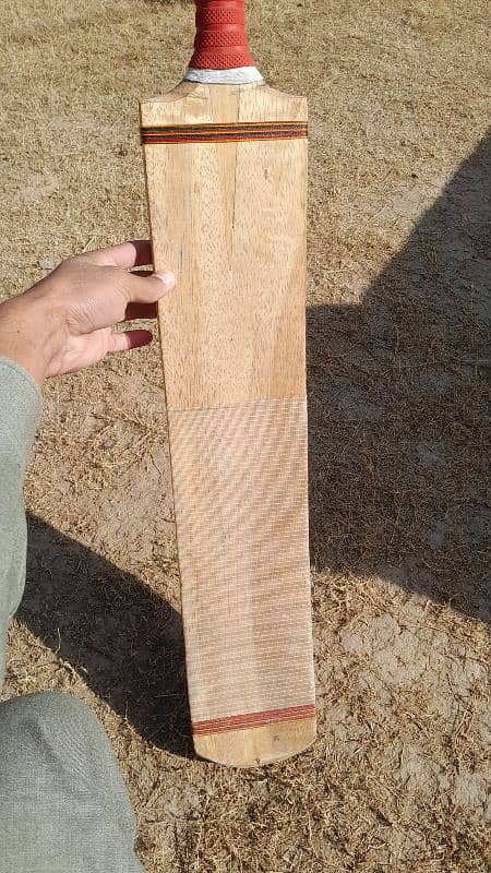 Orignal Coconut wood Bat 20 days used For sale 1