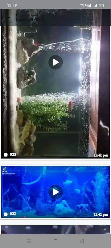 Aquarium for sale 1