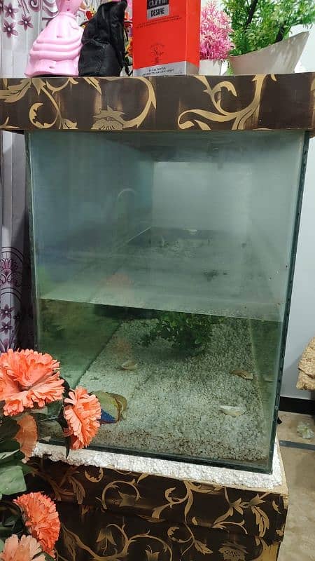 Aquarium for sale 4