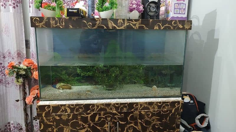 Aquarium for sale 5