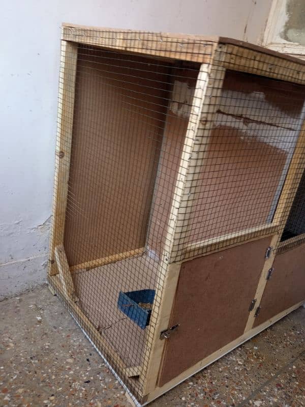 aseel hen and cage 1