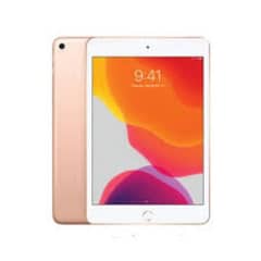 iPad mini 5 256gb