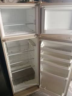 dawlance fridge lash  condition