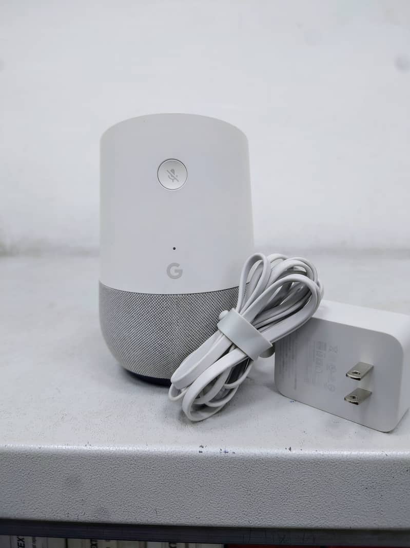 Google Home Spkear 0