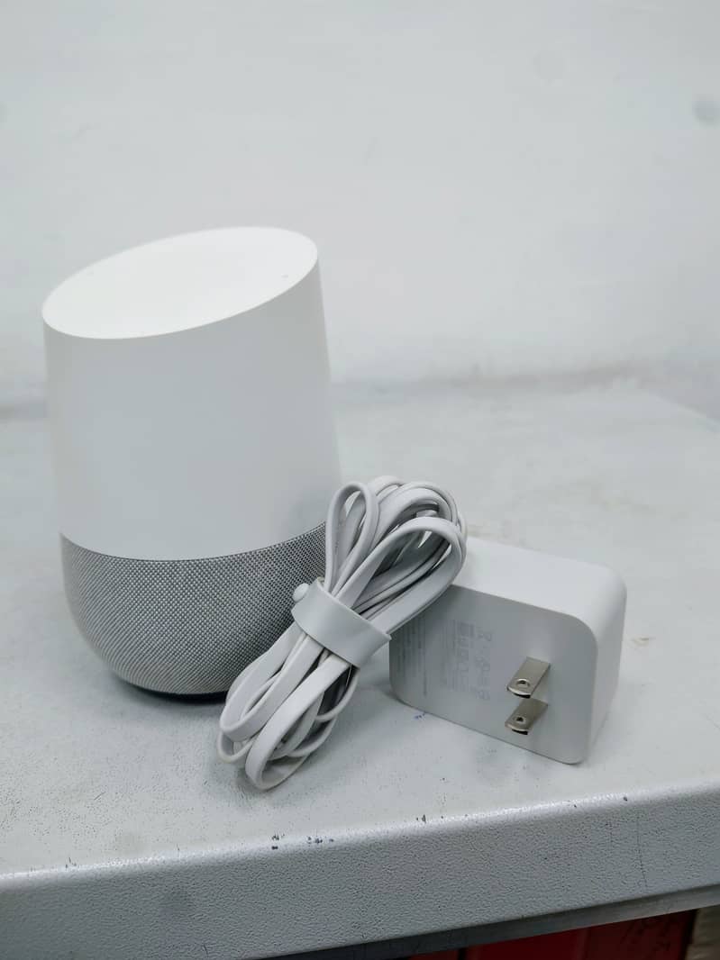 Google Home Spkear 2