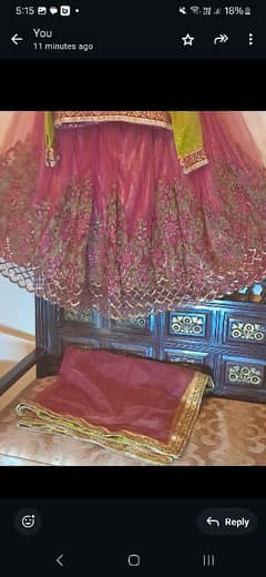 mahendi Ghaghra Choli