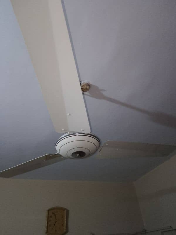 Royal ceiling fan 0