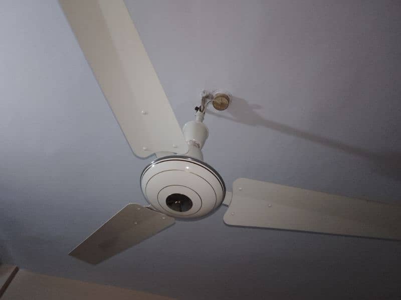 Royal ceiling fan 1