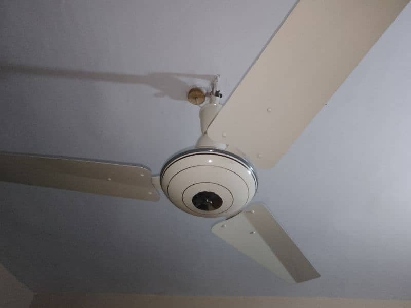 Royal ceiling fan 2