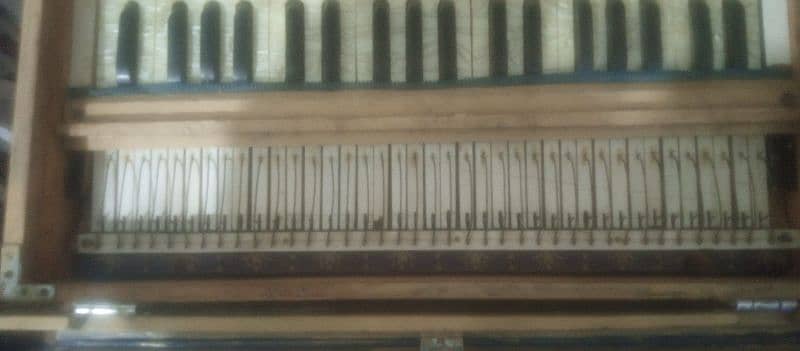 Indian harmonium 0