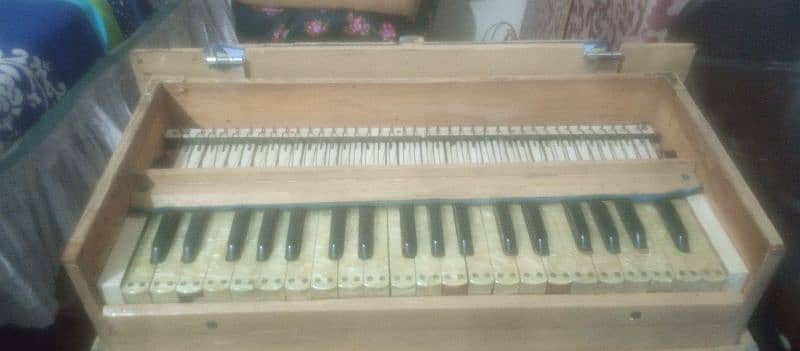 Indian harmonium 6