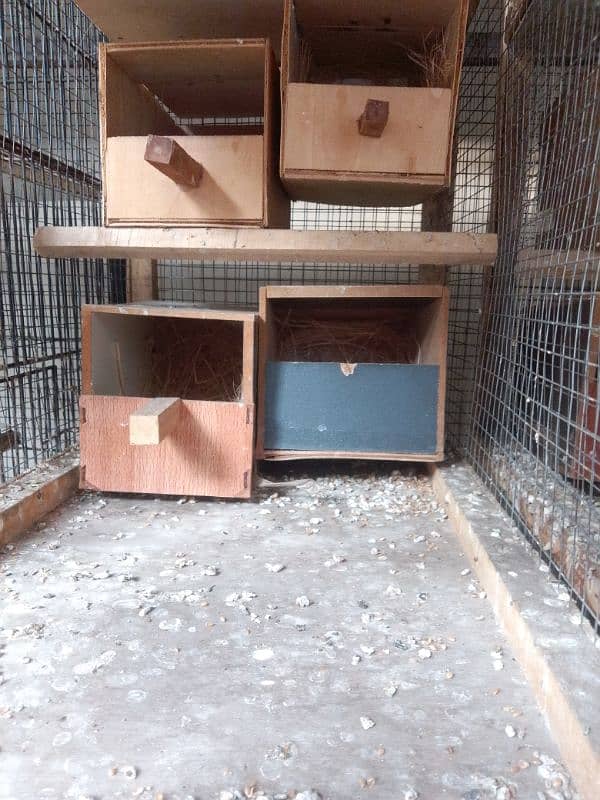 5portion wodden cages for finch 4