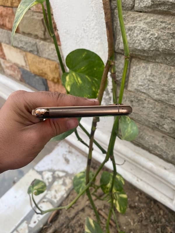 iphone xs max pta approved 5