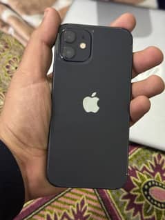 iPhone 12 Jv nonpta