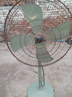 Asia fan